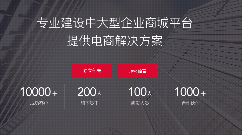 網上商城開發 網上商城開發